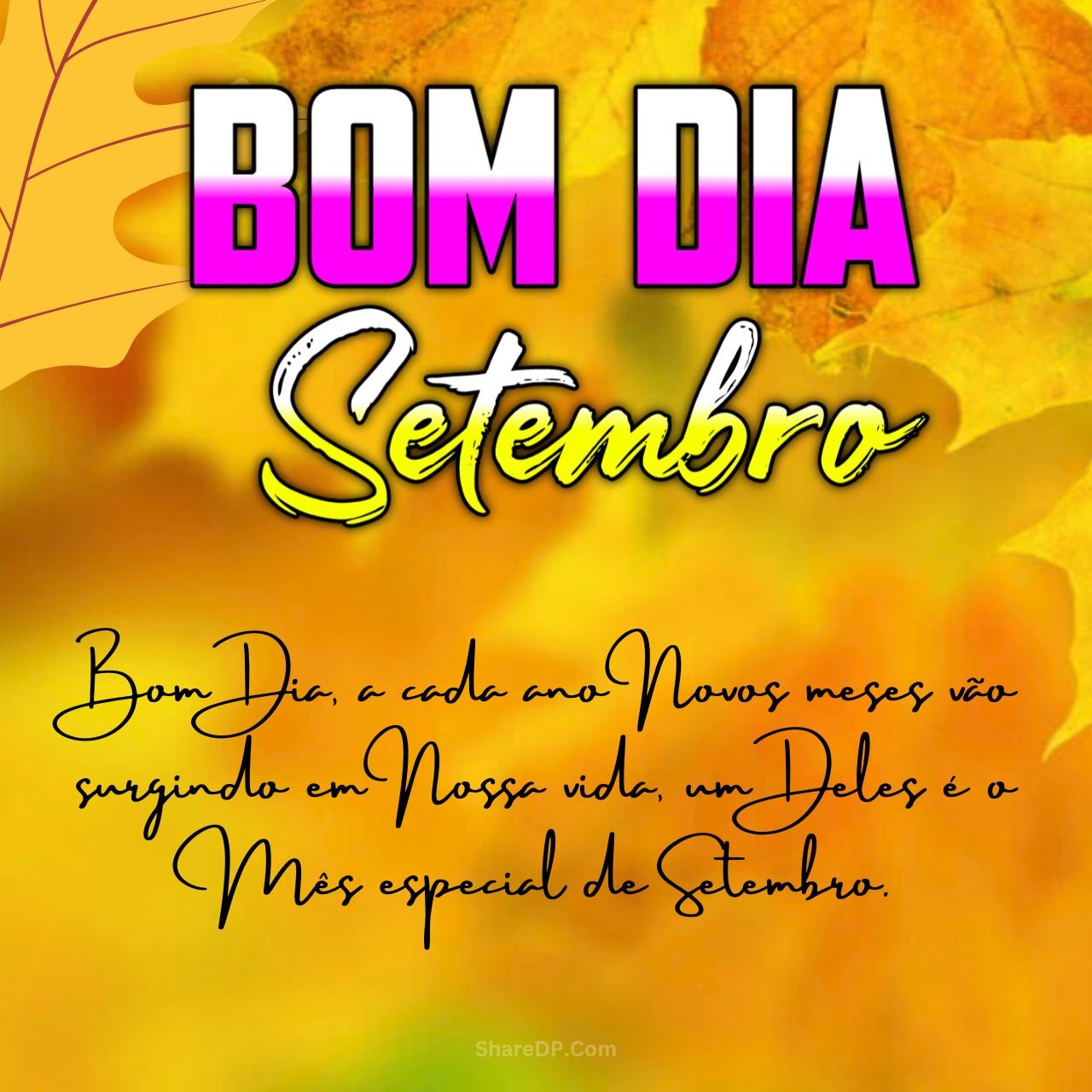 437 Mensagens, Frases, Imagens Bom Dia Setembro  {Bem-Vindo Domingo 1 Setembro}