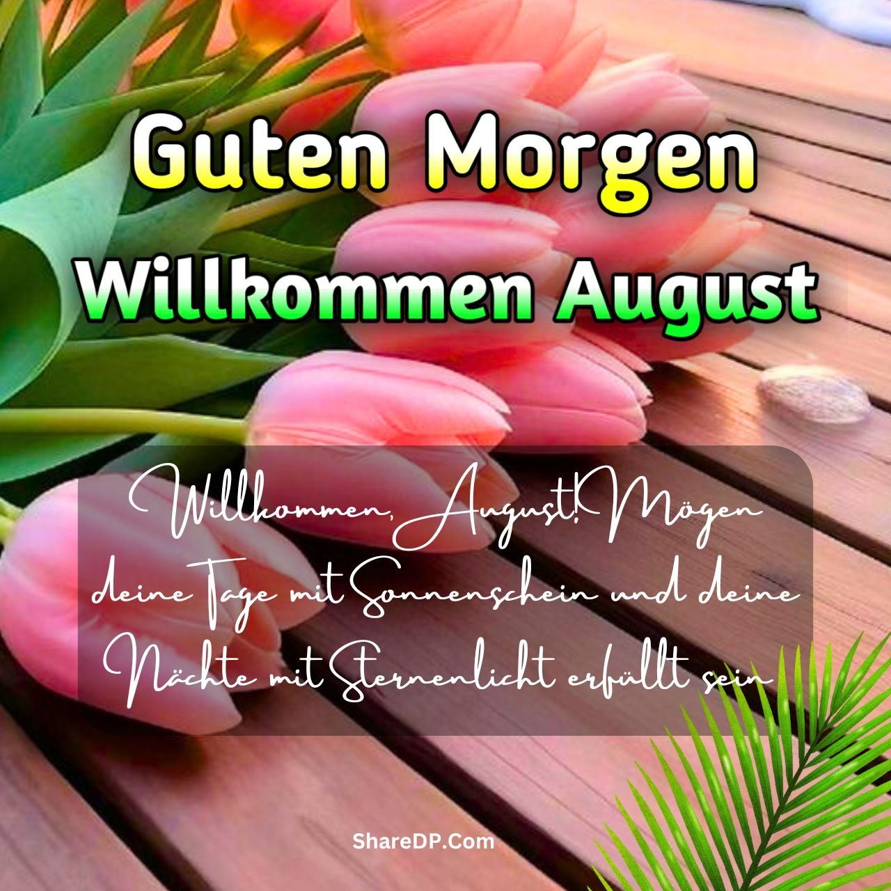 1045 Guten Morgen Willkommen August Bilder, GIF Neu Kostenlos