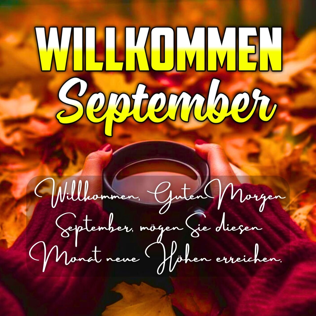 1064 GIF Neu Kostenlos Willkommen September Bilder