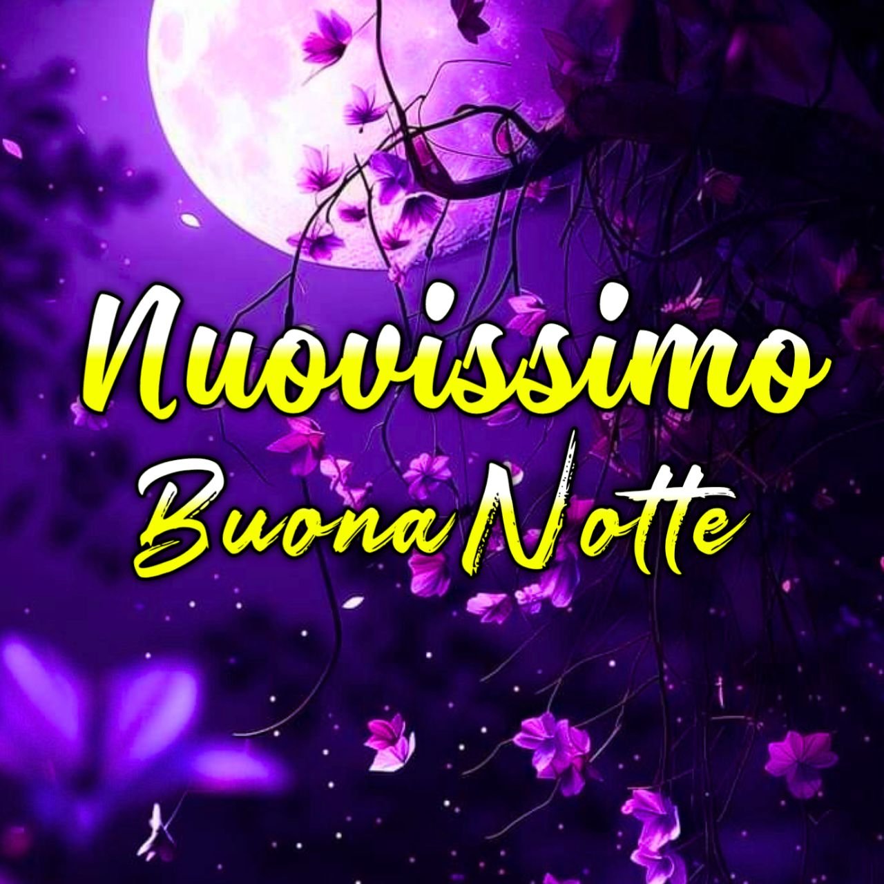 2028 Nuovissimo Buonanotte Immagini Recenti {Nuove GIF, Foto Gratis}